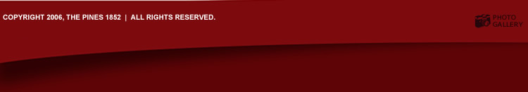 Avtec Media Group - Website Design & Development