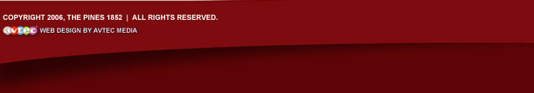 Avtec Media Group - Website Design & Development